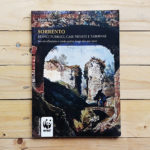 Sorrento. Edifici pubblici, case private e tabernae tra età ellenistica e tardo-antico lungo due assi viari | Collana Athena di con-fine