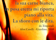 Nei giardini di Alex Caselli