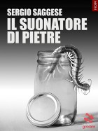 Il suonatore di pietre di Sergio Saggese