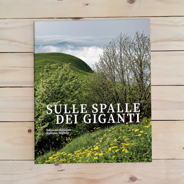 Sulle spalle dei Giganti